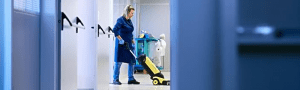 Domestiks Professional Cleaning Services