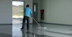 domestiks professional cleaning services