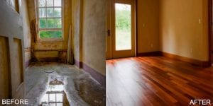 domestiks before after water mold damage